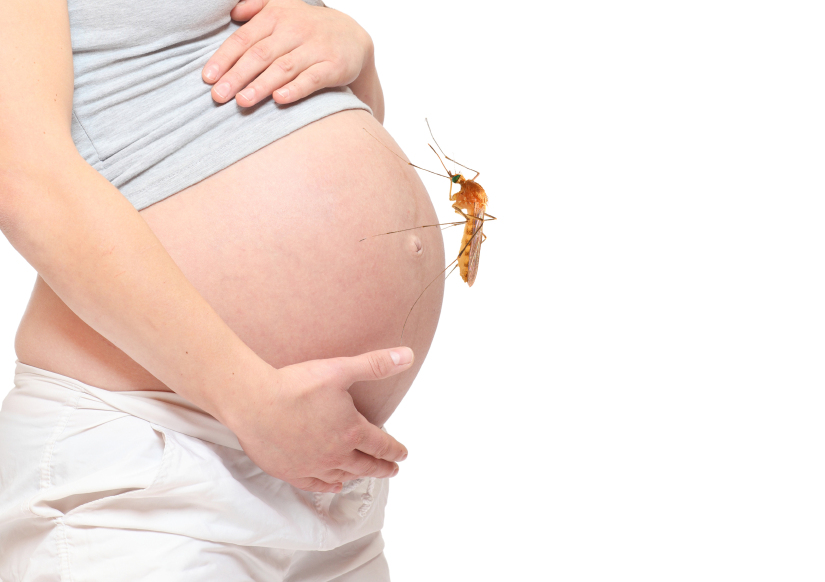 The Zika virus is particularly dangerous to pregnant women