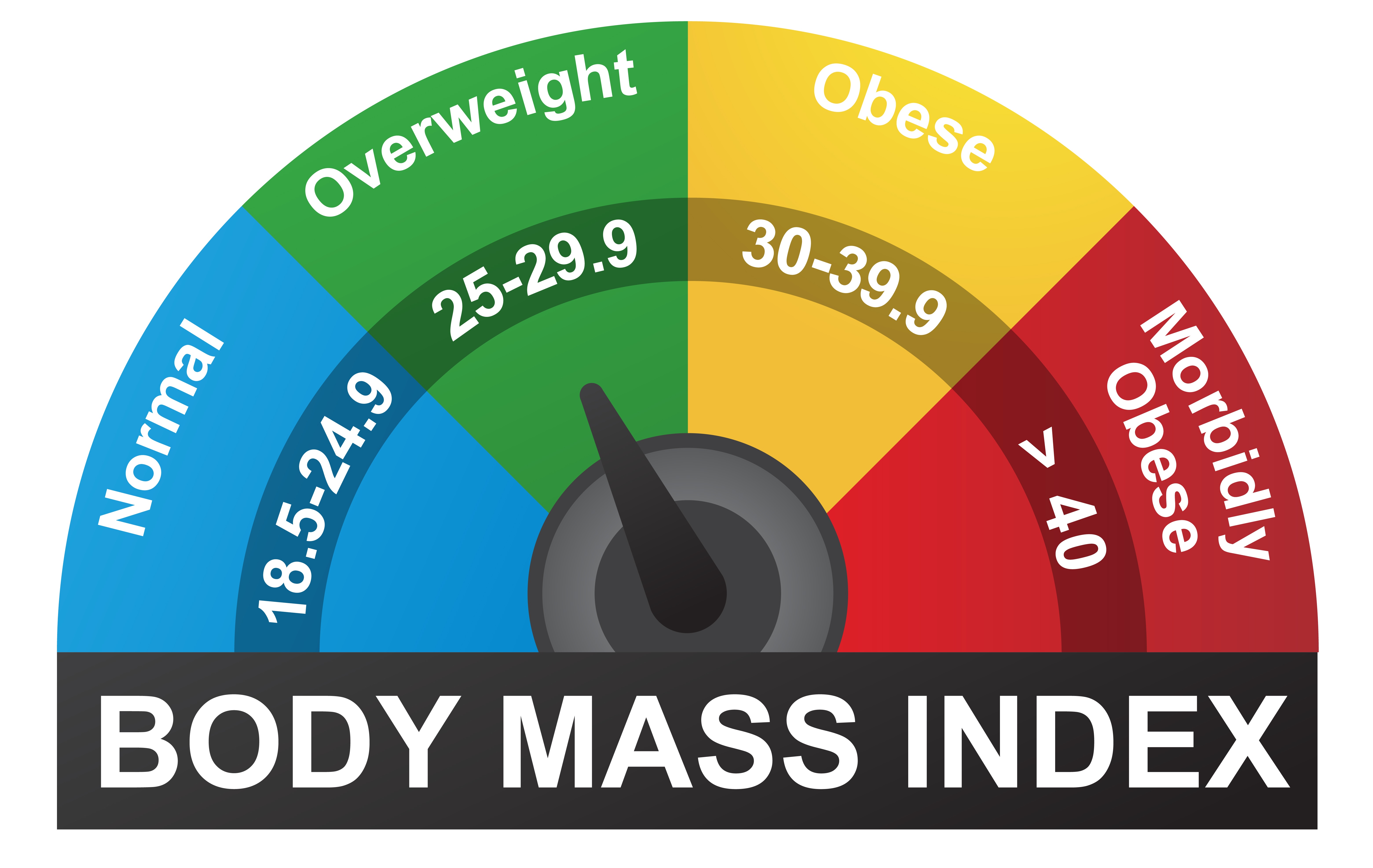 The BMI uses a rating scale to determine obesity levels