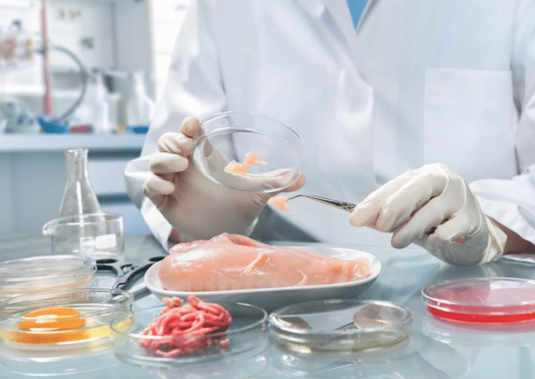 food technology diploma