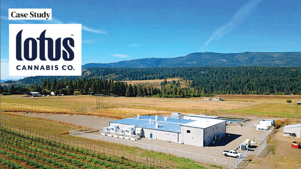 Managing Inventory For CTLS Health Canada Reports What You Need To Know AAPS
