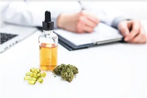 cannabis careers