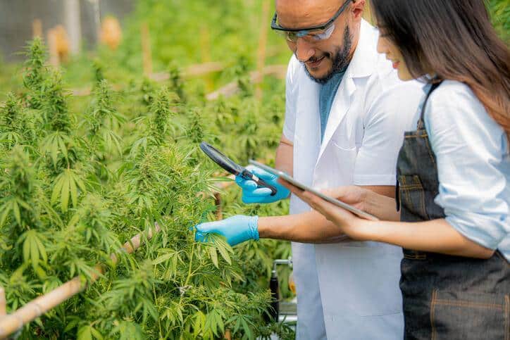 A smiling female brand ambassador communicating with a laboratory professional after completing her cannabis education.
