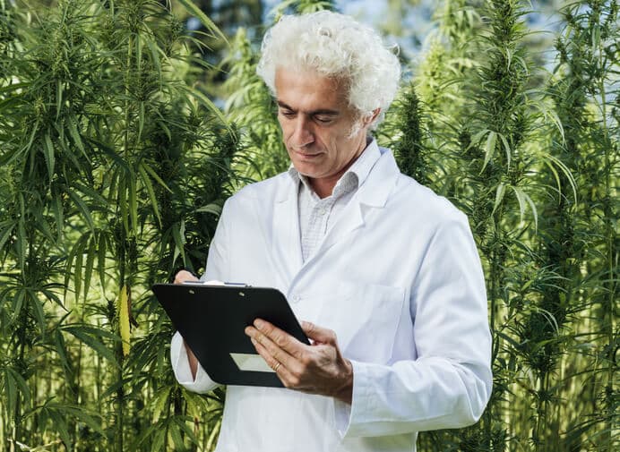 A cannabis master grower in a hemp farm after completing his cannabis industry training