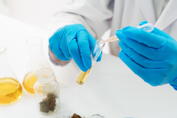 open a cannabis business