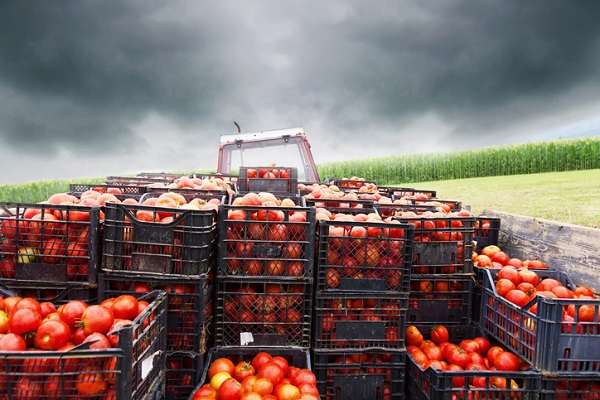 Recognize potential contamination risks from farm to fork