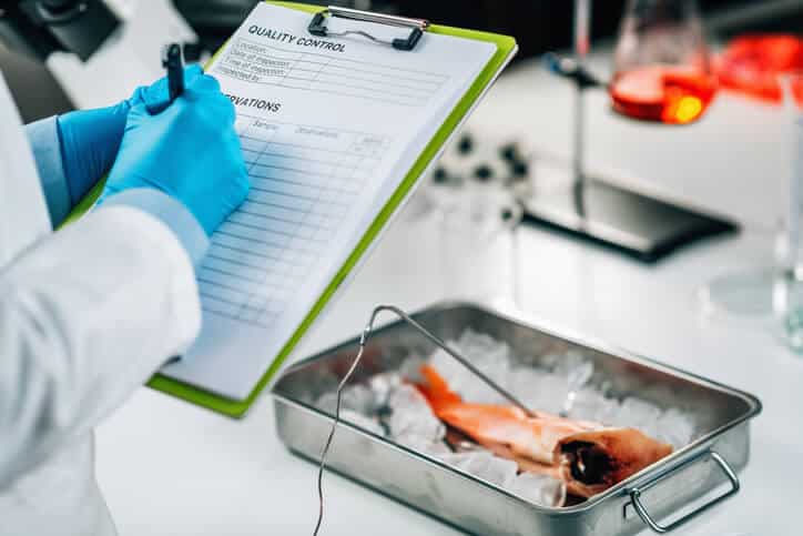 Food safety expert analyzing HACCP plan