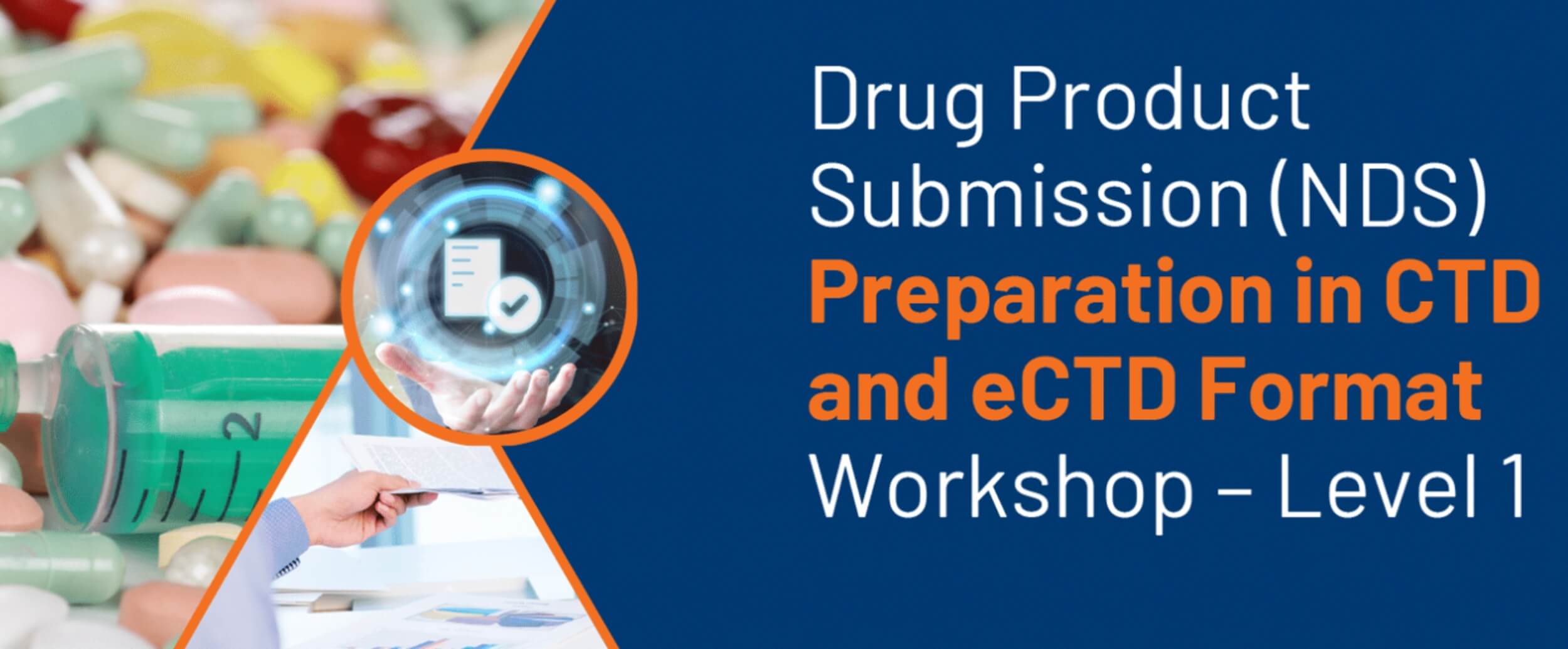The regulatory affairs webinar image details